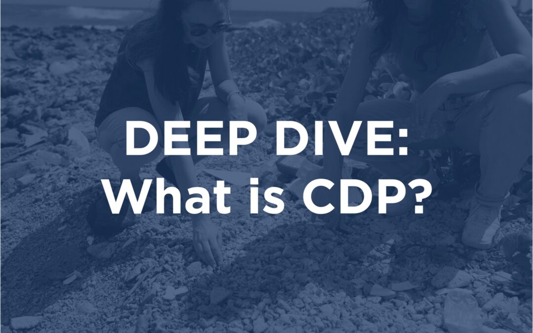 DEEP DIVE: What is CDP?