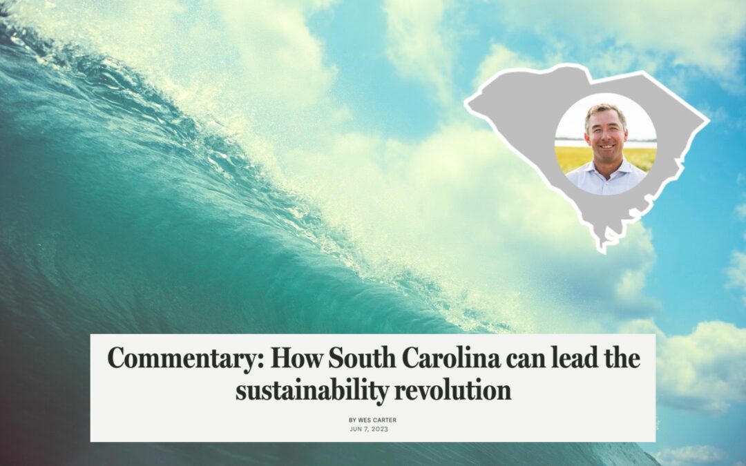 Wes Carter’s Sustainability Plan for South Carolina