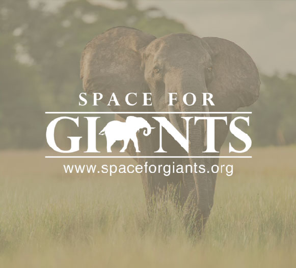 space-for-giants