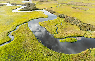 NEV-WEBSITE-IMAGE