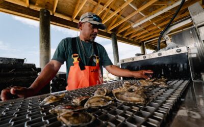 Cherrystone Aqua-Farms Chooses Sustainable Packaging that Reflects Their Values