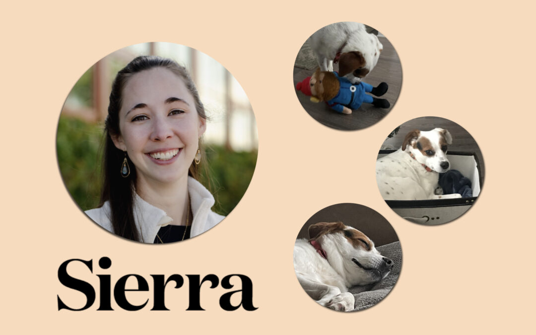 Sierra Features Sustainability Director Caroline DeLoach in Pet Industry Circularity Article