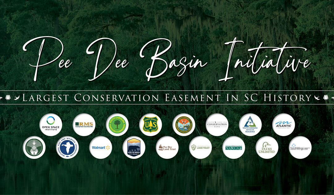 Protecting 62,000 Acres: A Historic Win for Conservation in South Carolina