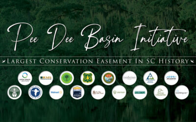 Protecting 62,000 Acres: A Historic Win for Conservation in South Carolina