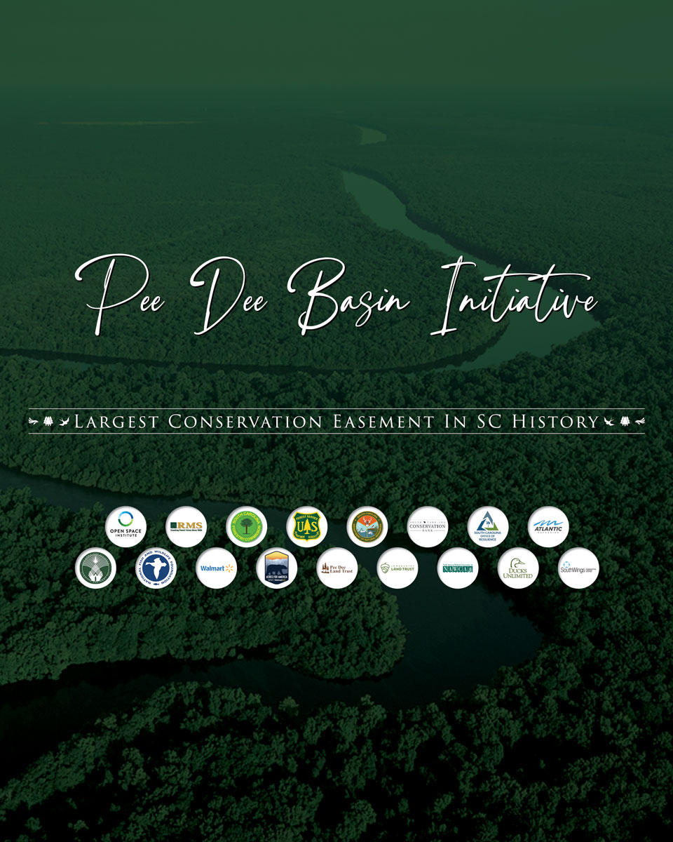 WebBanner-PeeDee-Conservation