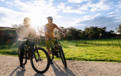 Rethinking the Ride: How Ibis Cycles Is Designing Bike Packaging with Plastic‑Free Innovation